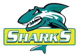 Sharks Fish & Chicken