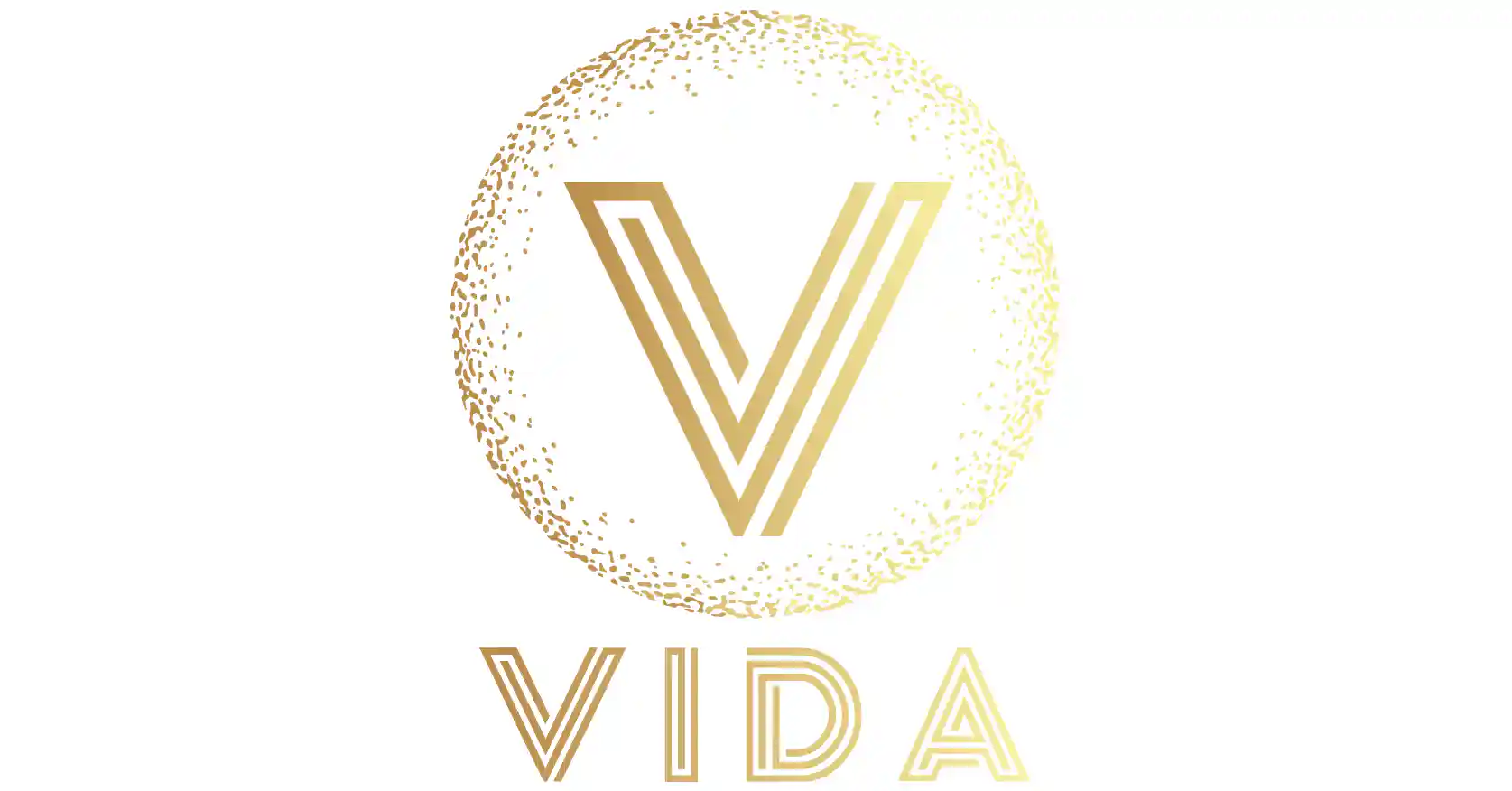 VIDA NYC logo