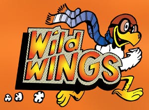 Wild Wings Pizza & Things