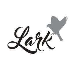 Lark logo