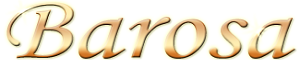 Barosa logo