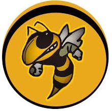 The Hornet's Nest Logo